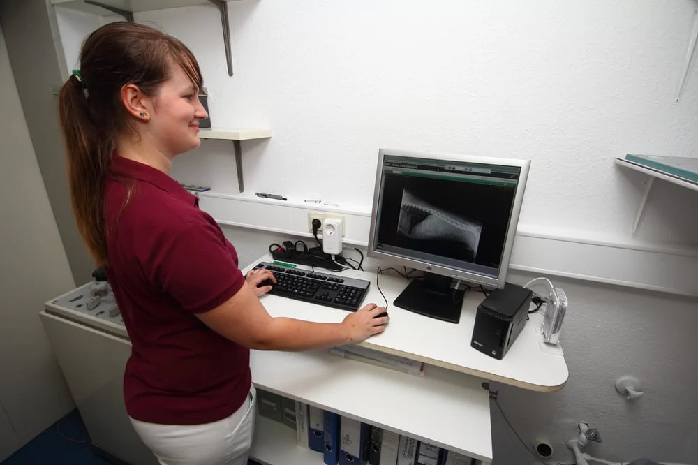 Dr. med. vet. Gottfried Kelch