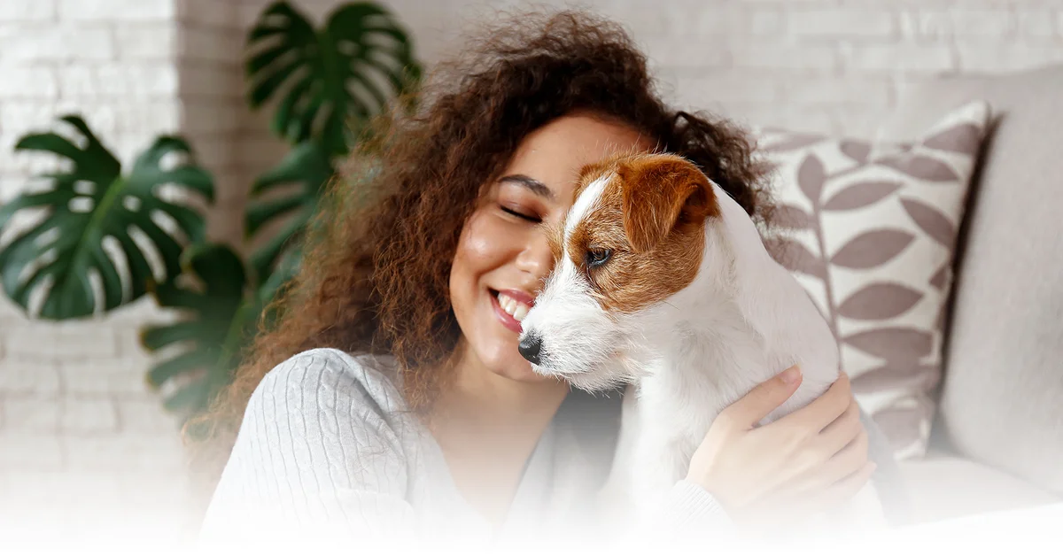 Sugar Land Veterinary Clinic