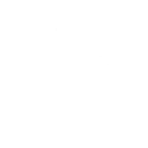 Helping Hands Veterinary Surgery and Dentistry of Florida