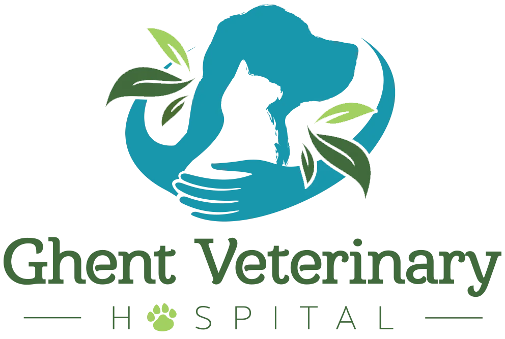 Ghent Veterinary Hospital
