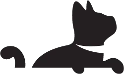 Animal Medical Hospital