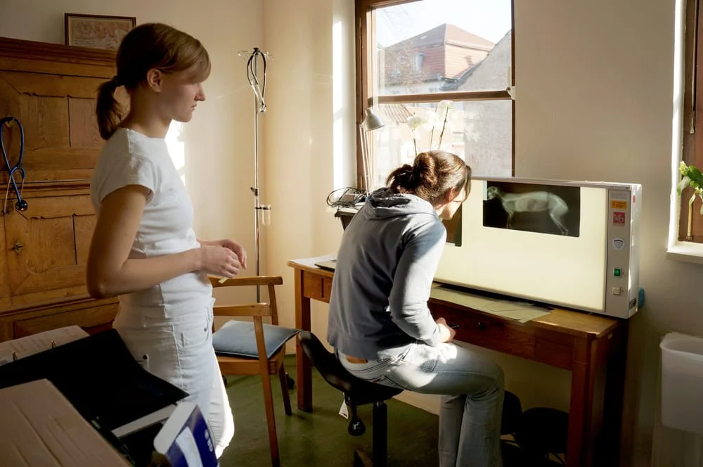 Tierarztpraxis HINTER DER MÜHLE