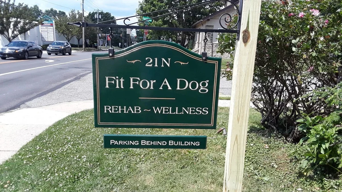 Fit For A Dog