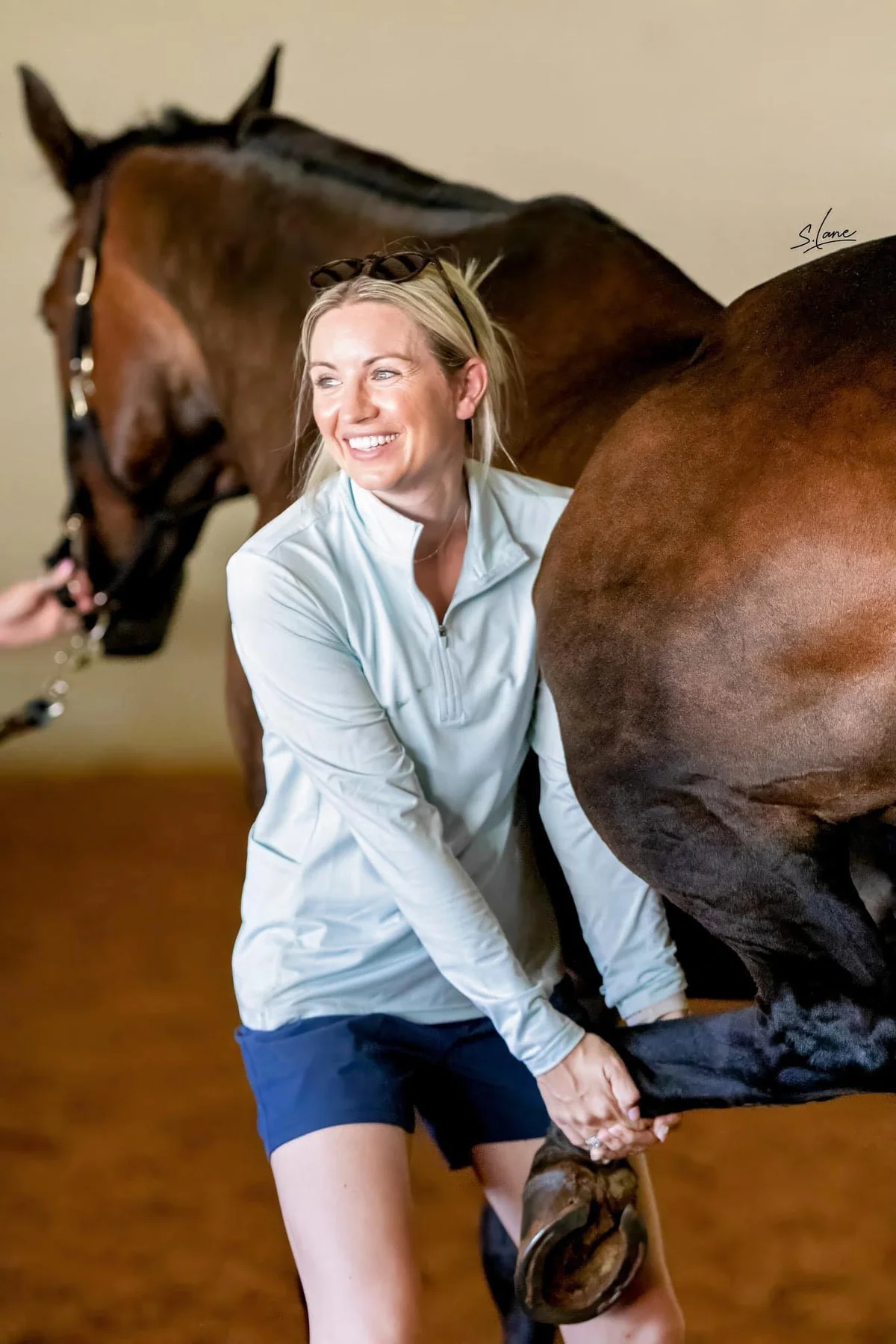 Mandarin Equine Veterinary Service