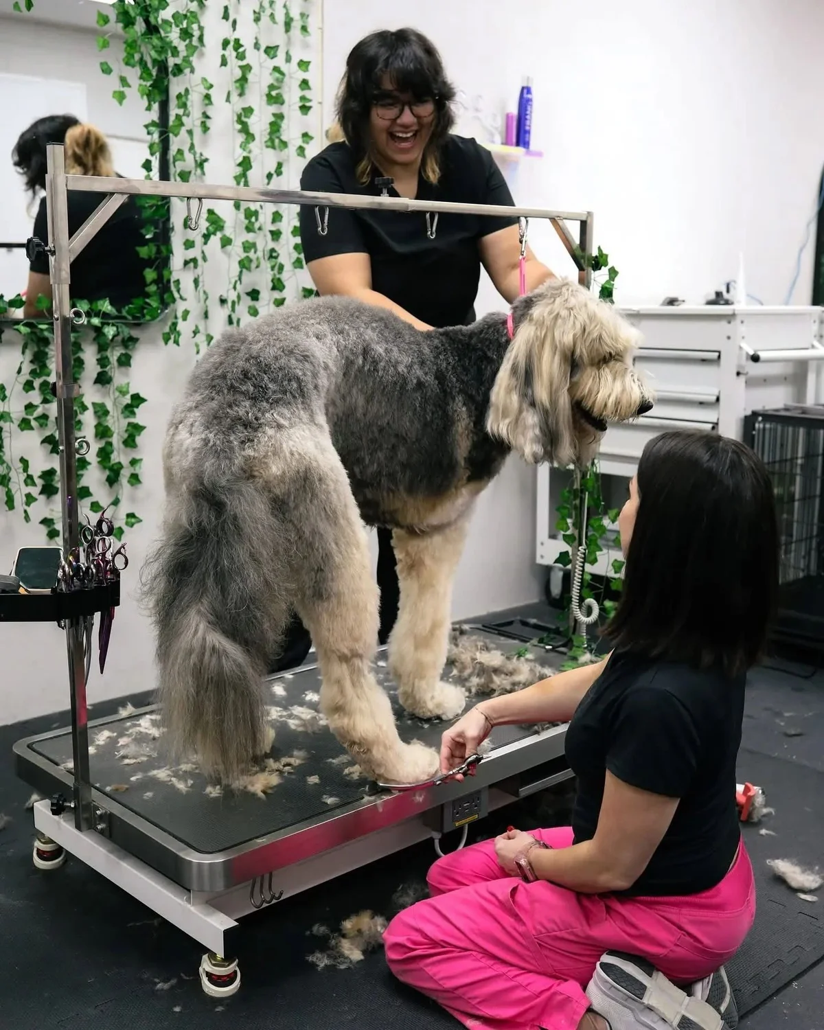 The Savannah Groom Room