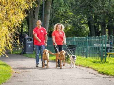 We Love Pets | Ipswich | Suffolk — Dog Walker, Pet Sitter and Home Boarder