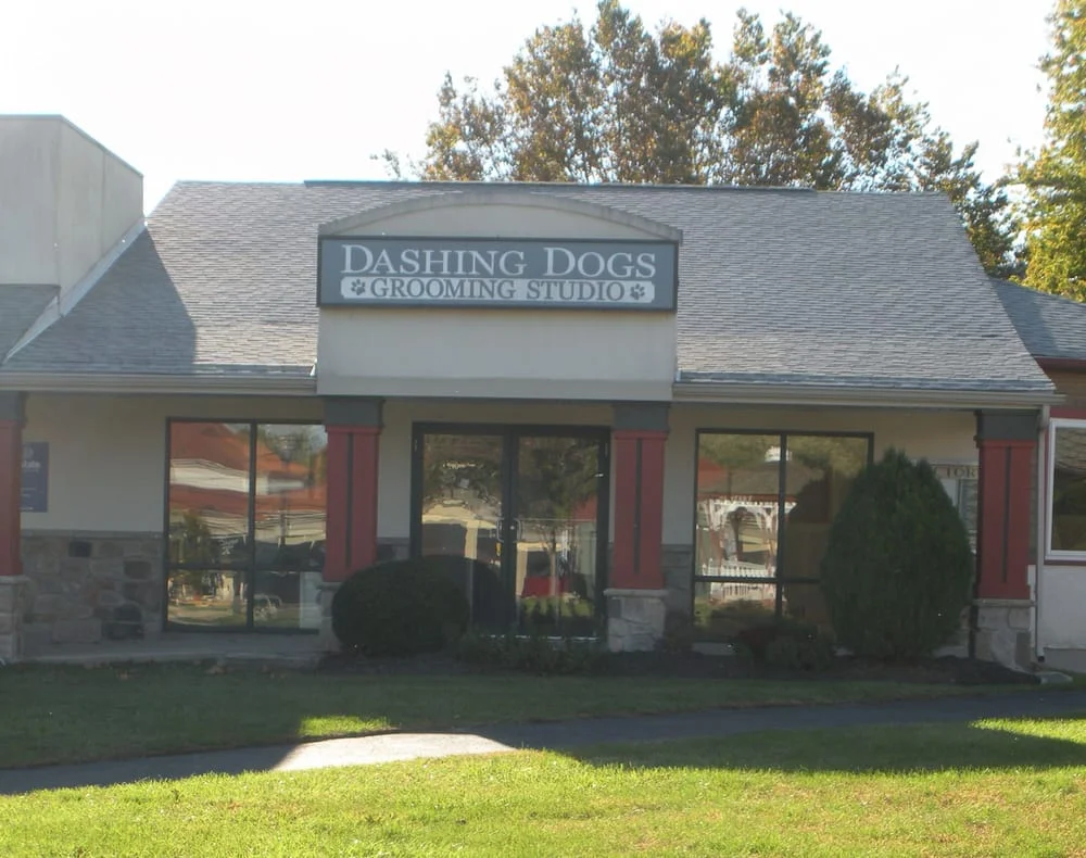 Dashing Dogs Grooming Studio