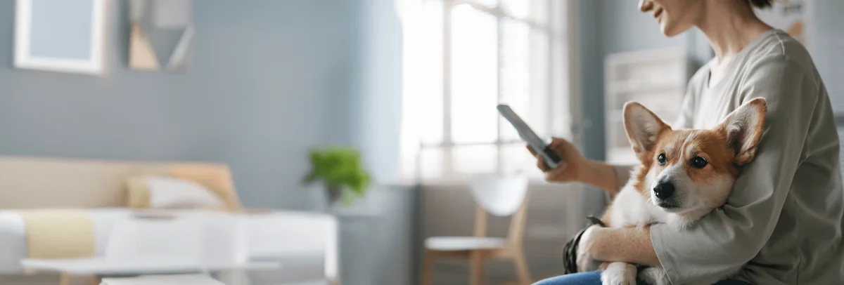 North Port St Lucie Animal Hospital