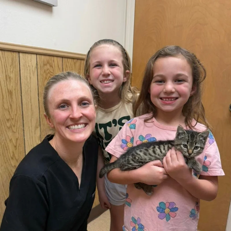 Flint Veterinary Clinic