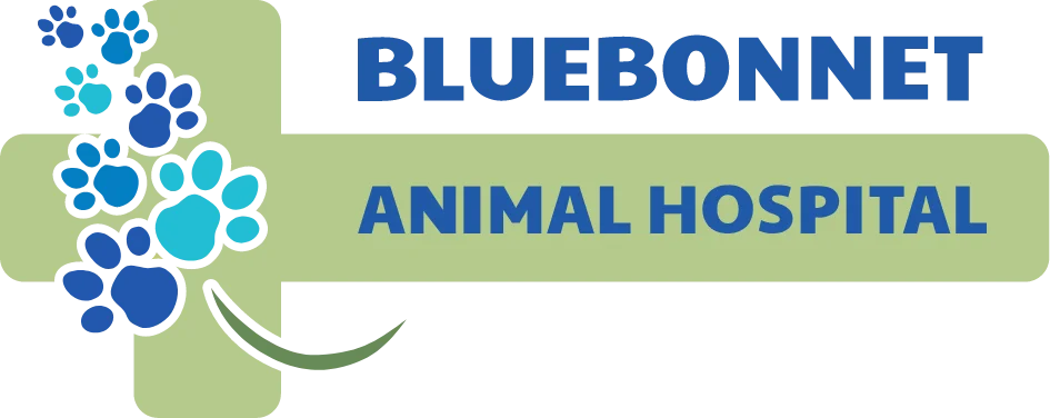 Bluebonnet Animal Hospital