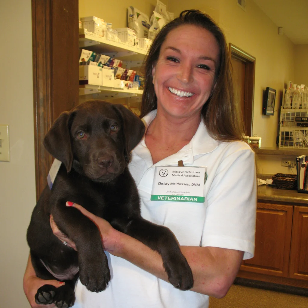 All Creatures Animal Hospital