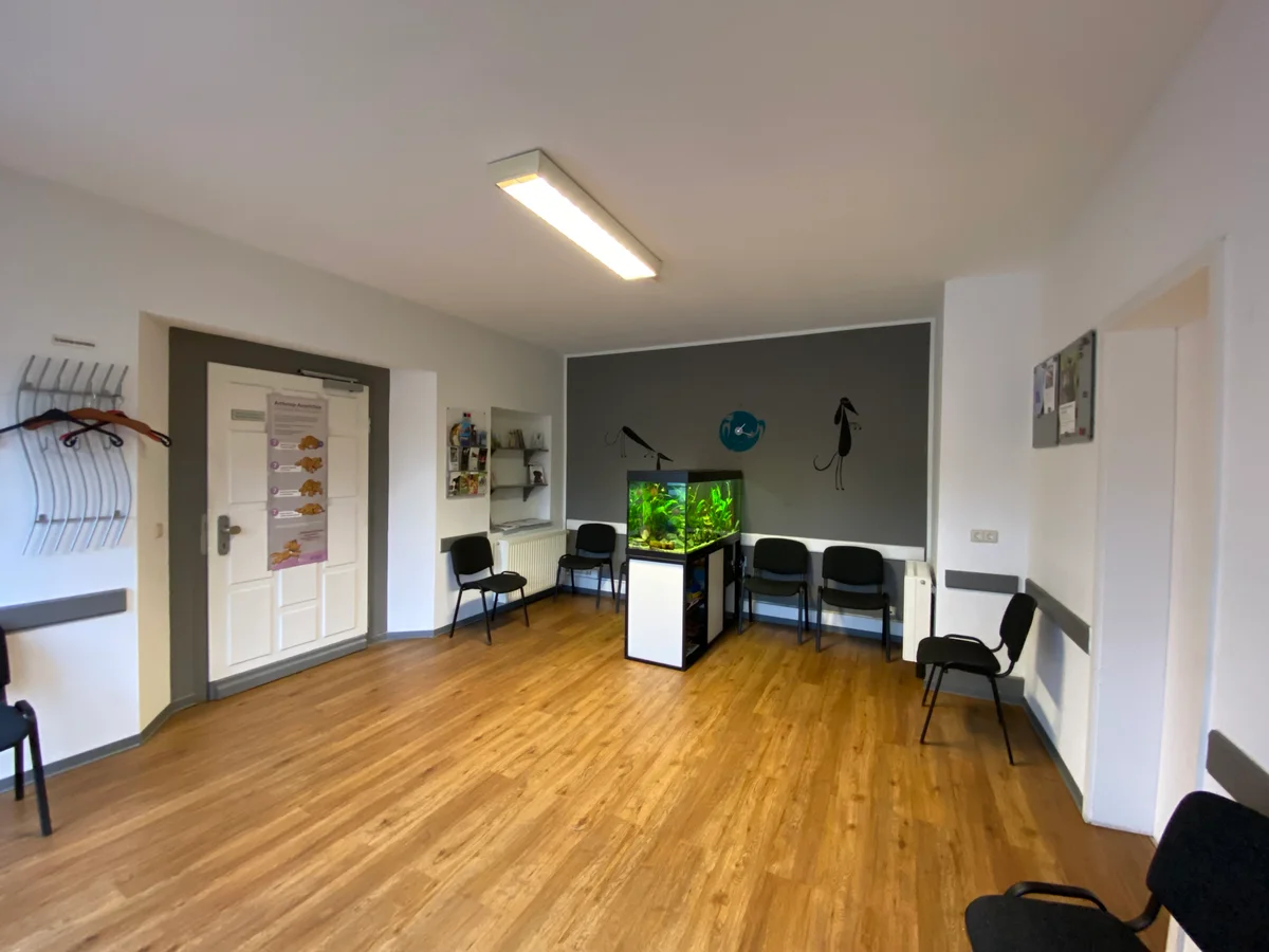 Tierarztpraxis Cornelia Seidte