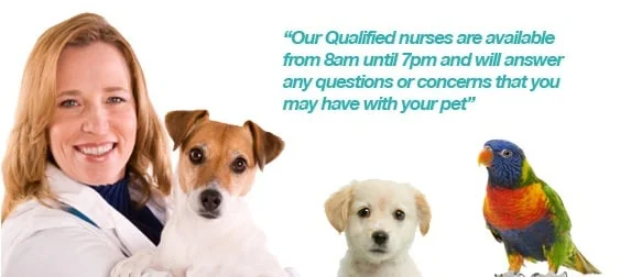 Sutton Park Veterinary Clinic