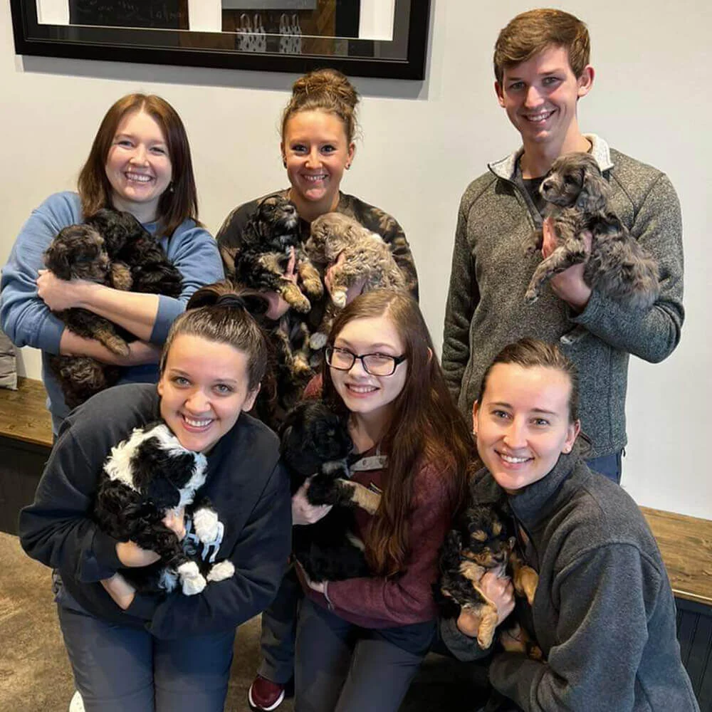 Best Friends Veterinary Hospital