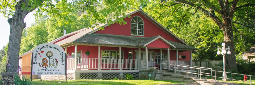 Brainerd Hills Veterinary Hospital