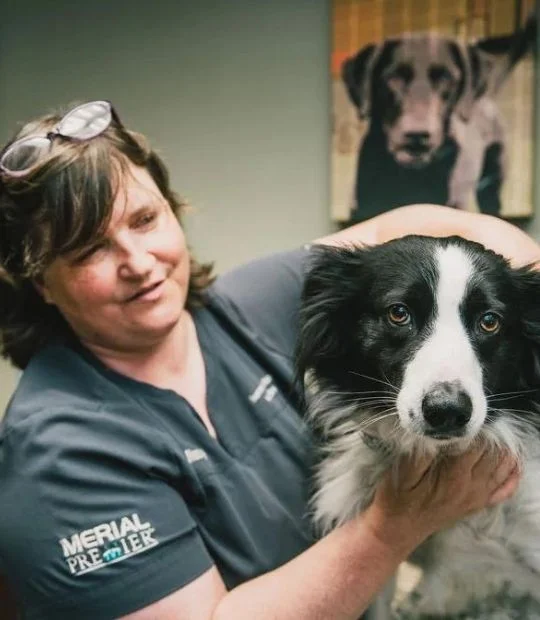 Summers Ridge Veterinary Clinic