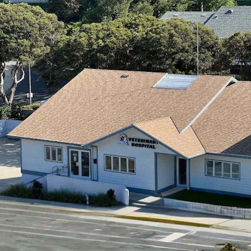 Salt & Sea Veterinary Hospital