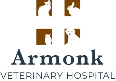 Armonk Veterinary Hospital