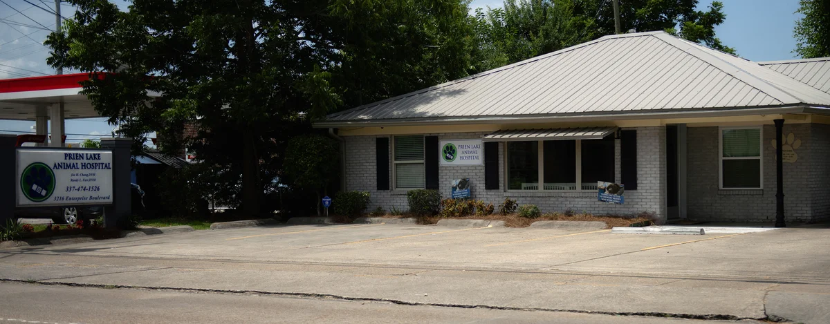 Prien Lake Animal Hospital