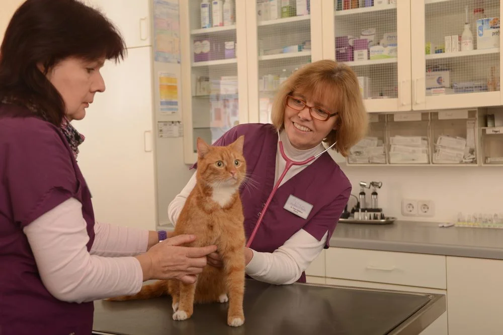 Tierarztpraxis Dr. Steffens