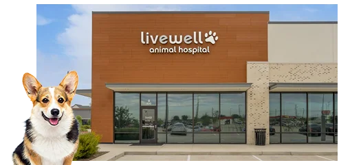 Livewell Animal Hospital of Katy