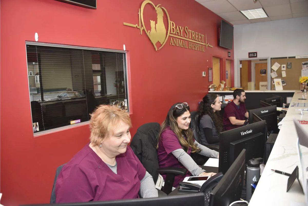 Bay Street Animal Hospital