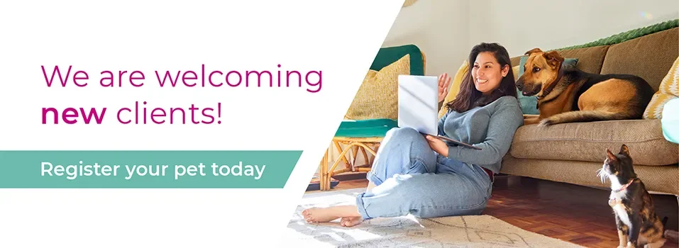 Walthamstow Veterinarian Surgery