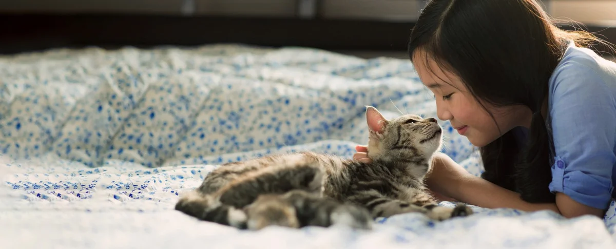 PetVax Complete Care Centers - Bartlett