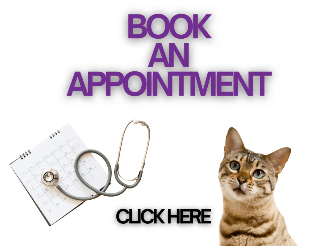 Glasslyn Large & Small Veterinary Centre