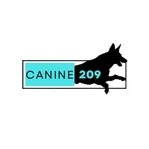 Canine 209