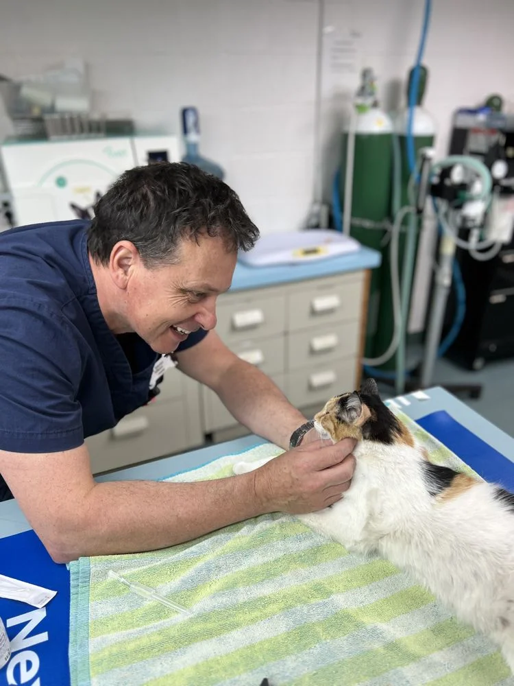 Lakeshore Animal Clinic