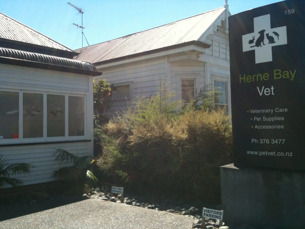 Herne Bay Vet Clinic