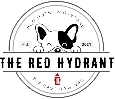 The Red Hydrant Dog Hotel and Daycare