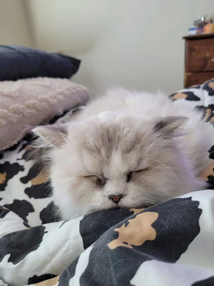 Barkley Animal Clinic