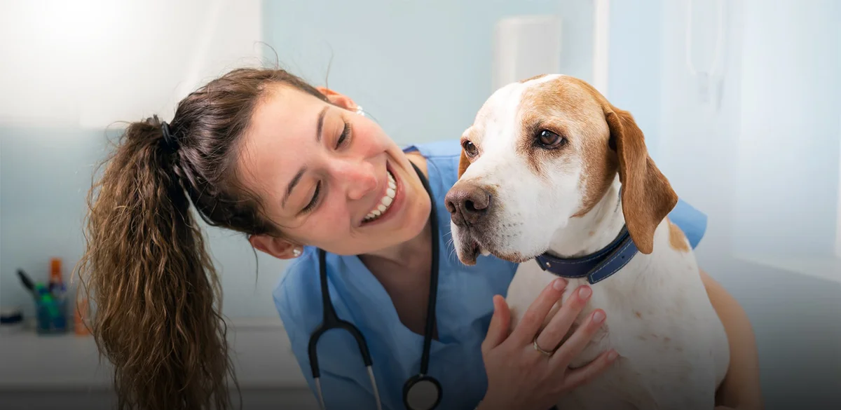 Airport Freeway Animal Emergency Hospital