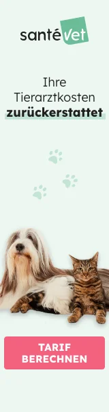 Tierarzt Tierärztliche Klinik Dr. Michael Weiler