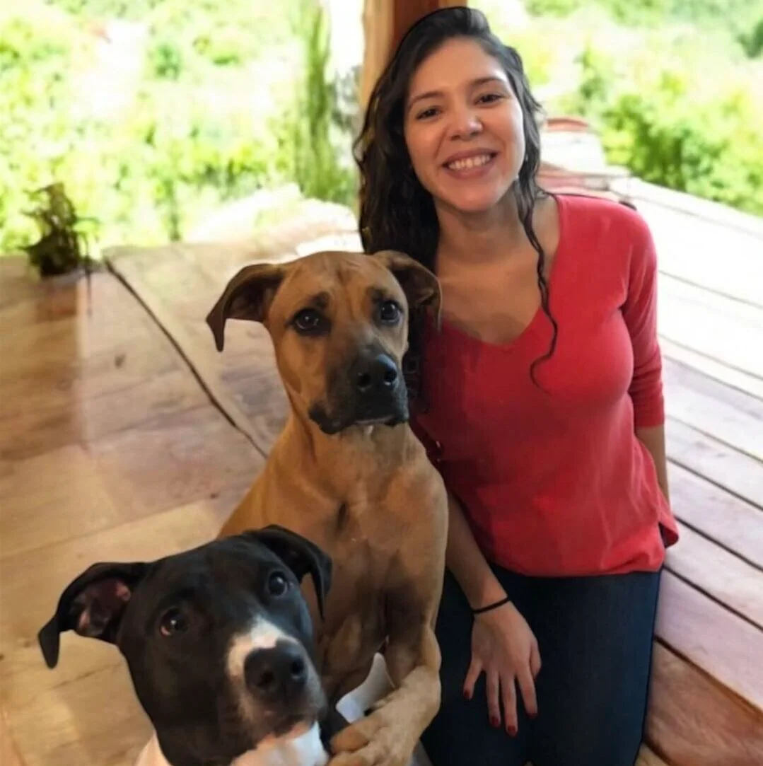 Best Veterinary Hospital In Ormond Beach, FL 32176