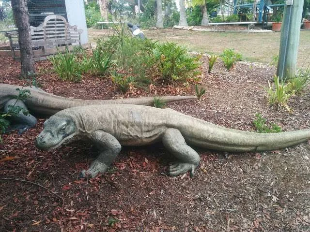 Eatons Hill Veterinary Surgery