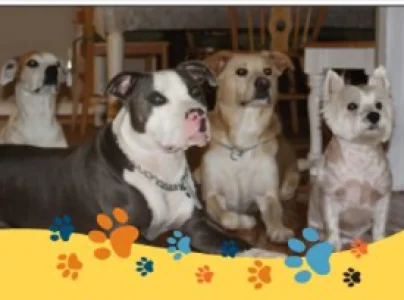 All My Canine Companions