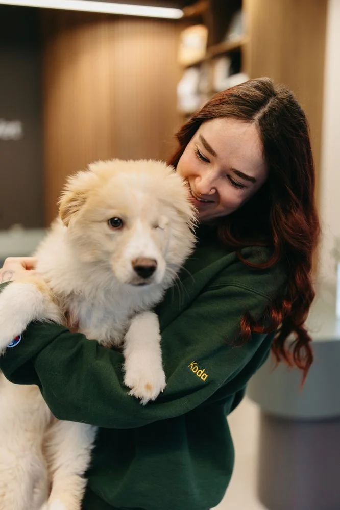 City Park Veterinary Services