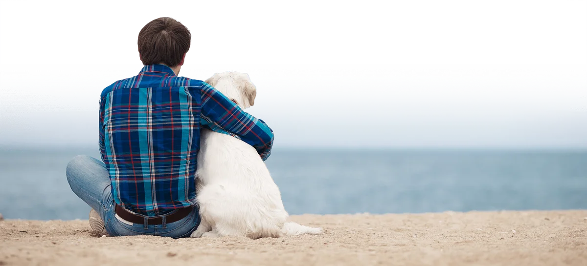 North Shore Veterinary Hospital