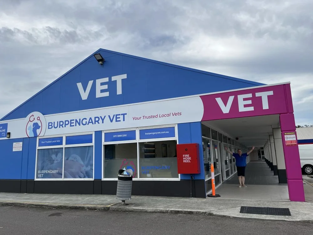 Burpengary Vet for Happy and Healthy Pets