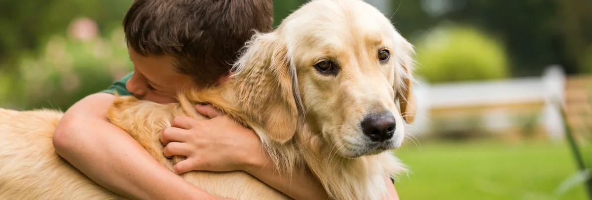 Gateway Pet Hospital