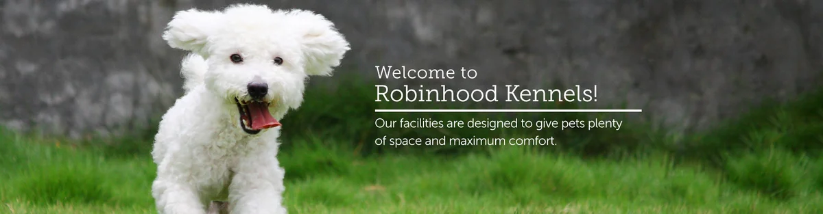 Robinhood Kennels and Cattery