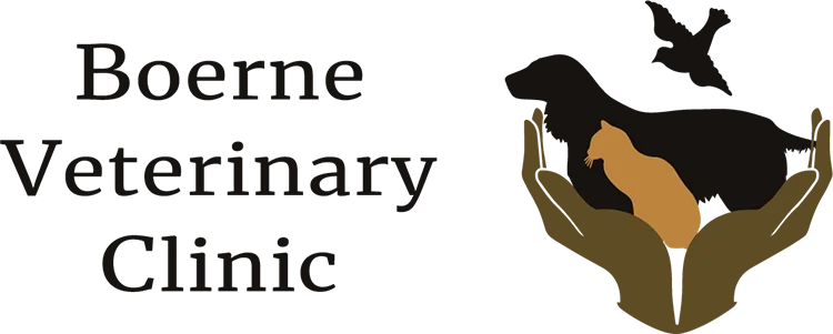 Boerne Veterinary Clinic