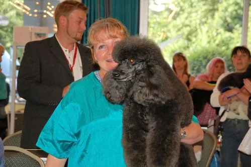 Tierarztpraxis Dr. Streubel u.Dr.Senatore