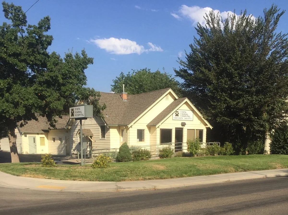 Vista Animal Hospital