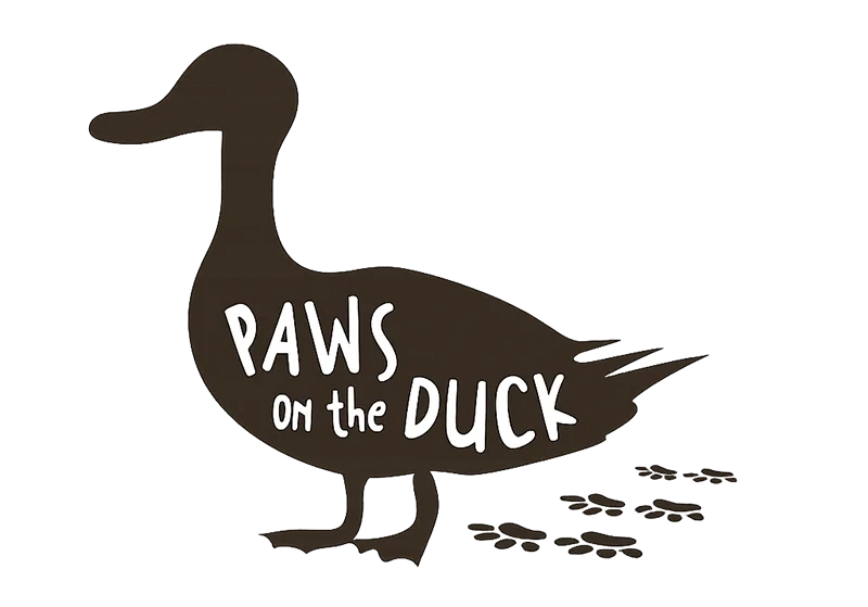 Paws On The Duck