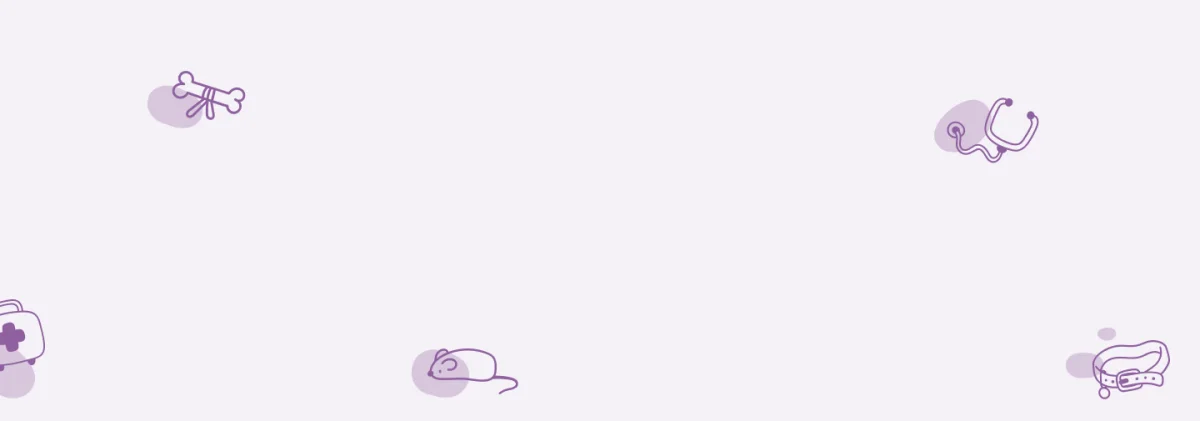 Four-Legged Friends Animal Hospital