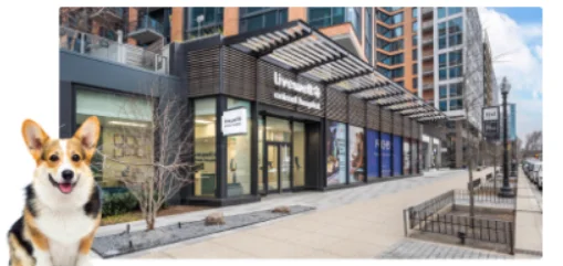 Livewell Animal Hospital of NoMa